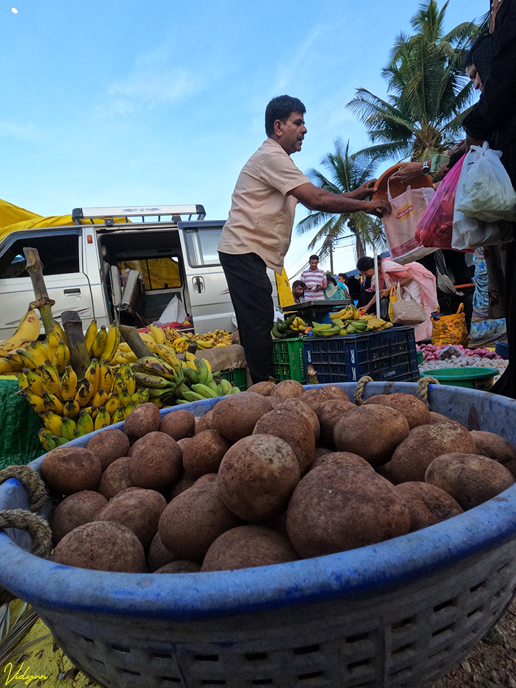 An image of a chikoo basket and a man selling fruits