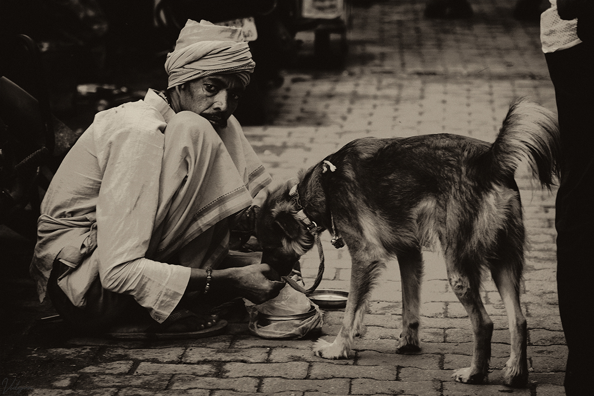 An image of a roadside beggar who is feeding a dog