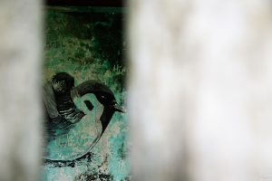 An image of a painting of a boy holding onto a bird with a white foreground