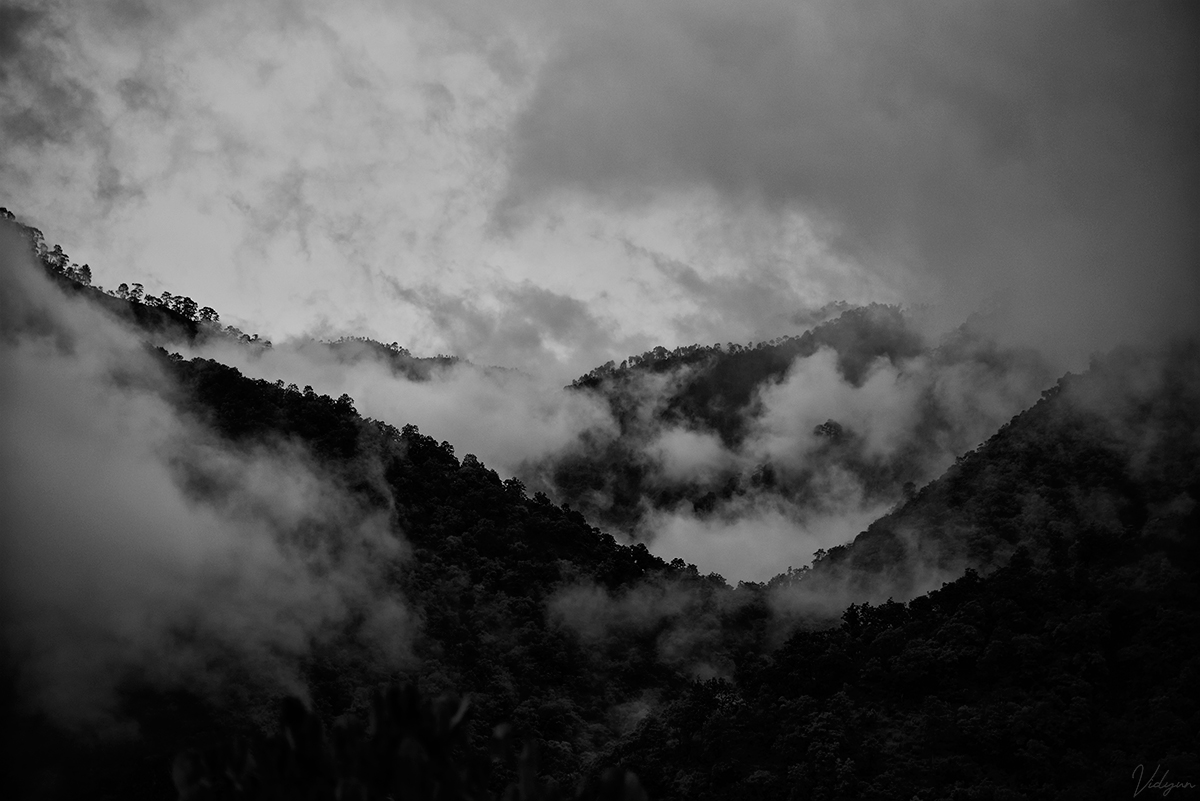 An black&white image of mountains and fog