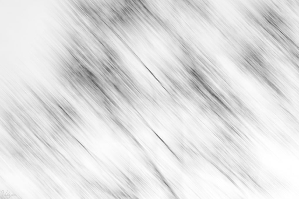 This is a black & white abstract image of a tree 